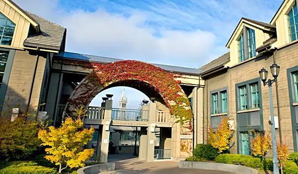 Berkeley Haas Coffee Chat in JakartaSunday, Dec 20 at 4PM